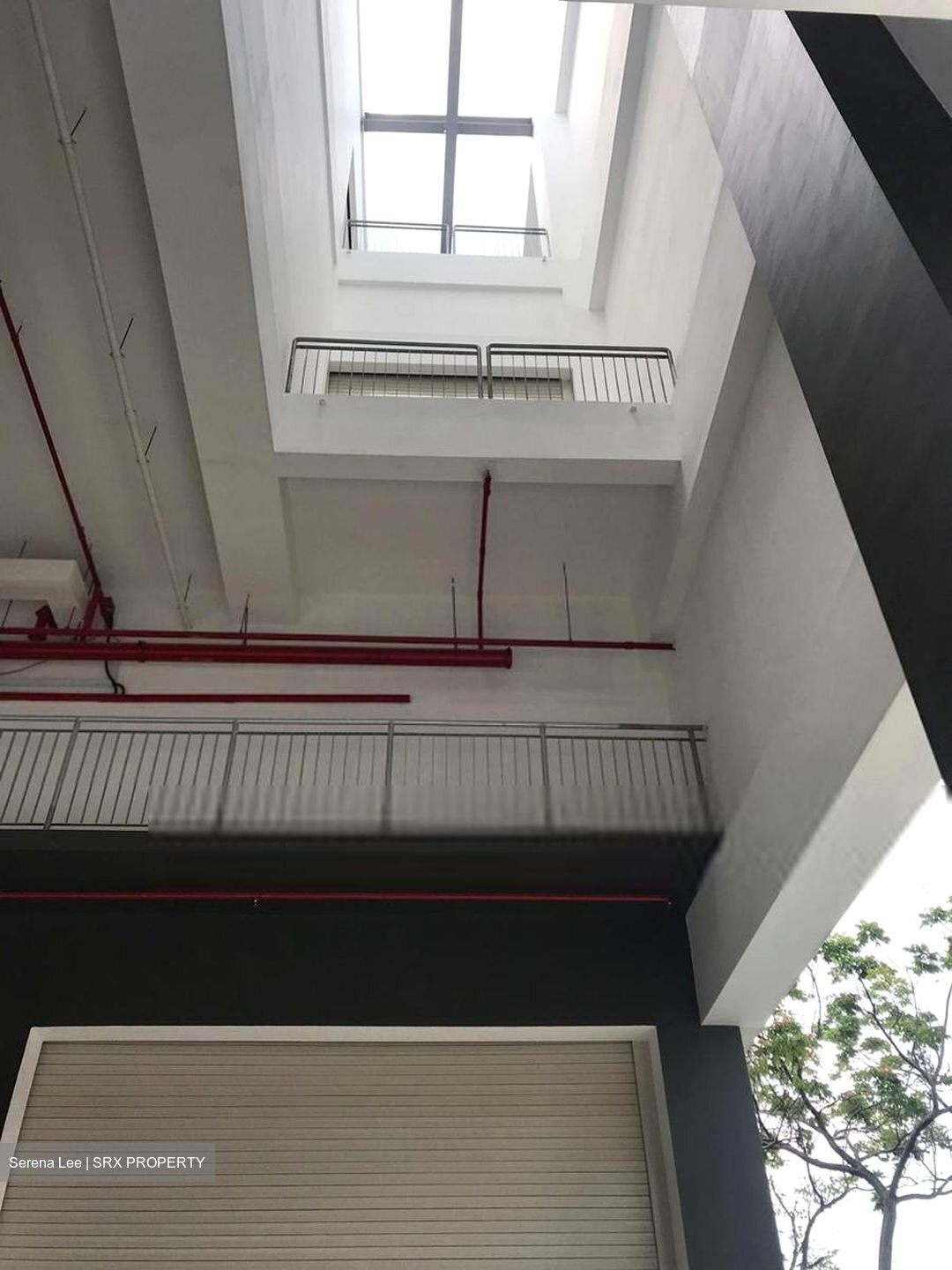 Platinum@pioneer (D22), Factory #456872331